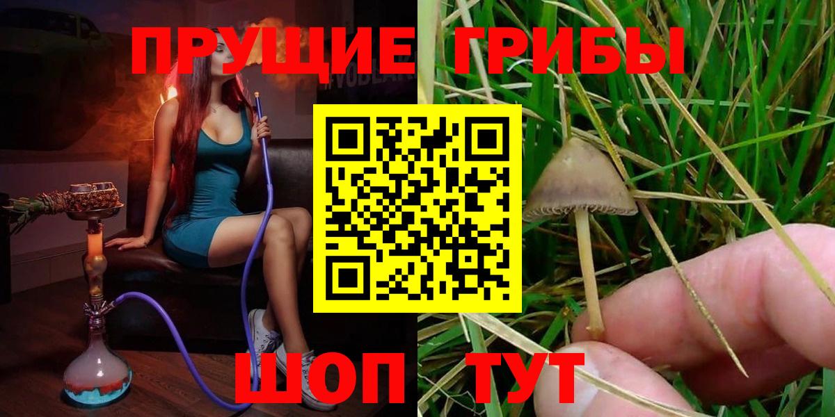 Псилоцибиновые грибы Psilocybine cubensis  Галлюциногенные грибы GOLDEN TEACHER  Вход с VPN  Вязники 